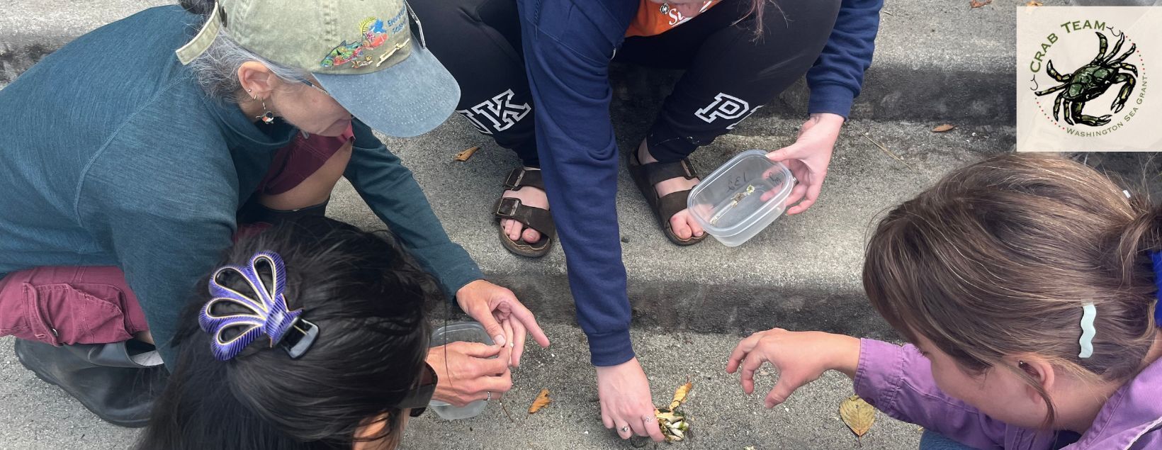 Green Crab Molt Search Training- May 30 (10:00 AM-12:00 PM)